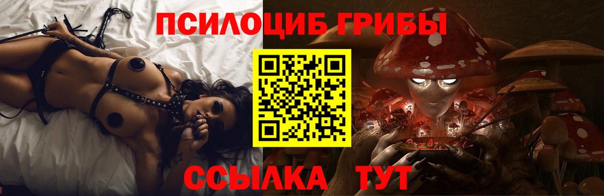 Комсомольск-на-Амуре  Псилоцибиновые грибы прущие грибы  Галлюциногенные грибы Psilocybine cubensis  Вход с VPN 